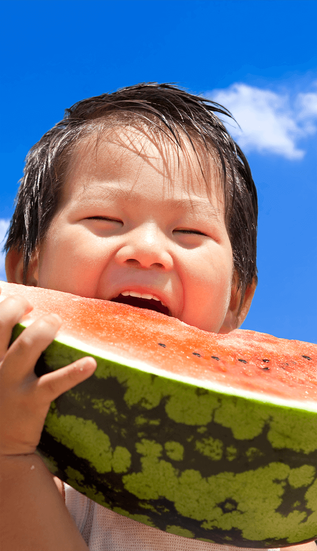 永田農園は群馬県太田市で美味しい藪塚スイカを販売しております